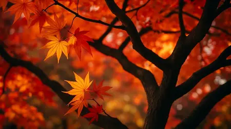 Grief Recovery Foundations | Healing After Loss