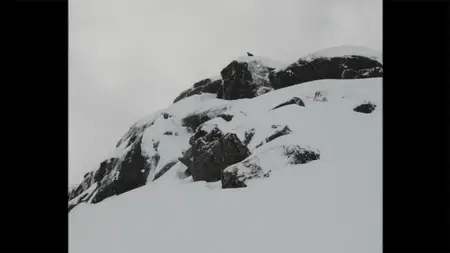 Ski: The Greatest Ski Tour of All Time (2024)