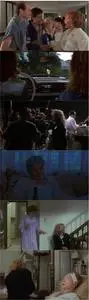 Postcards from the Edge (1990) [w/Commentary]