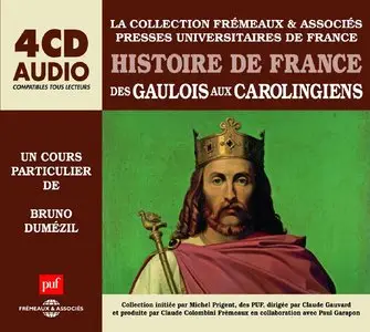 Bruno Dumézil, "Histoire De France : Des Gaulois Aux Carolingiens" (repost)