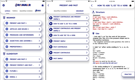 English Grammar - Lessons and Tests v2.6.2 Pro