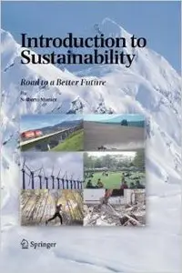 Introduction to Sustainability: Road to a Better Future by Nolberto Munier