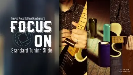 Truefire - David Hamburger's Focus On: Standard Tuning Slide (2015)