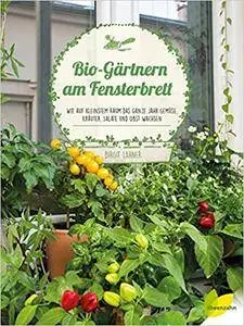 Bio-Gärtnern am Fensterbrett: Wie auf kleinstem Raum das ganze Jahr Gemüse, Kräuter, Salate und Obst wachsen