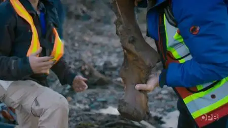 PBS - NOVA: Polar Extremes (2020)