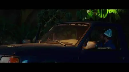 The Female Brain (2017)