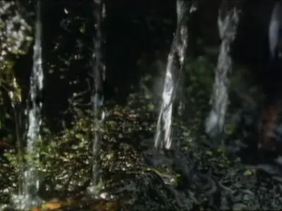 Peter Greenaway - Making a Splash (1984)