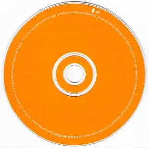 David Sylvian - Approaching Silence (1999) {Virgin CDVE 943}