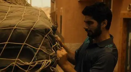 Prison Break S05E06 (2017)