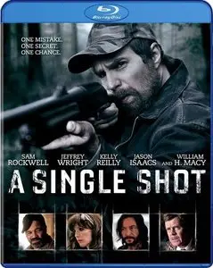 A Single Shot (2013)