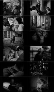 Germany Year Zero (1948) [The Criterion Collection]