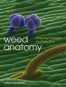 Weed Anatomy (Repost)