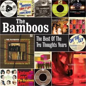 The Bamboos - The Best of the Tru Thoughts Years (2015)