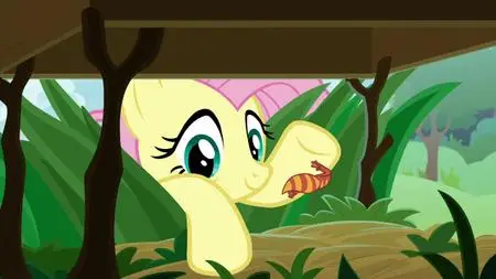 My Little Pony: L' Amicizia E' Magica S09E18