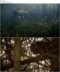 Ireland's Wild River (2014)