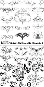 Vectors - Vintage Calligraphic Elements 5
