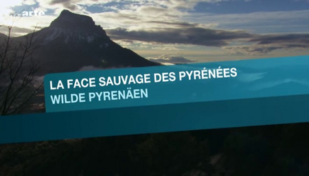 (Arte) La face sauvage des Pyrénées (2010)