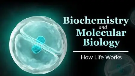 TTC - Biochemistry and Molecular Biology: How Life Works