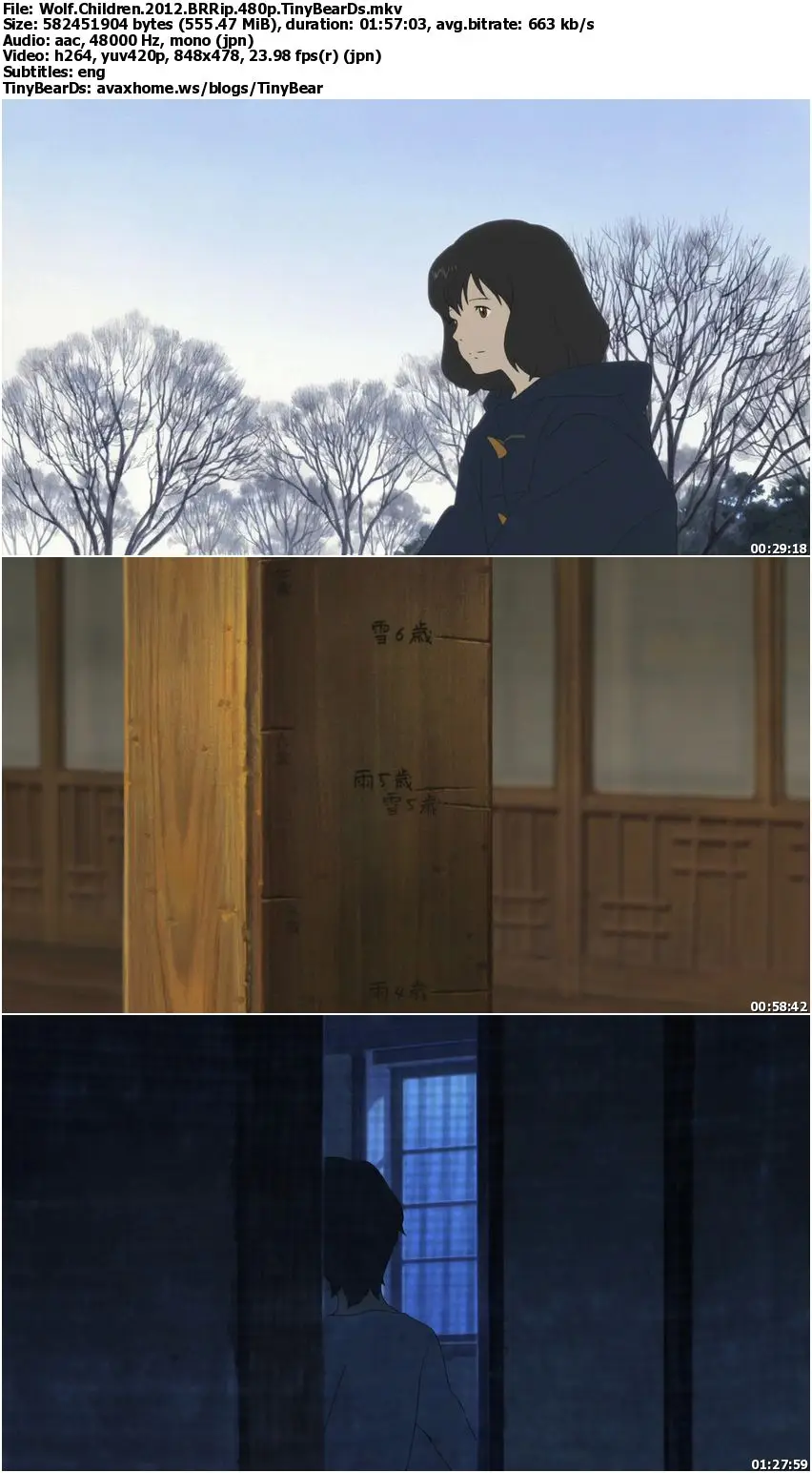 Wolf Children (2012)