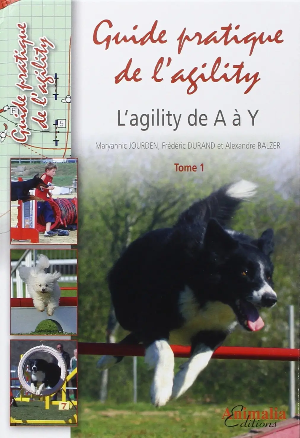 Maryannic Jourden, Frédéric Durand, Alexandre Balzer, "Guide prftique de l'agility : L'Agility de A à Y", Tome 1