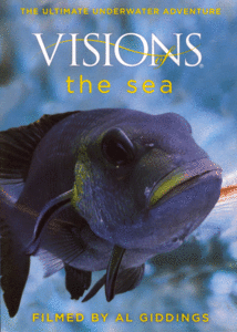 Visions of the Sea (2008) 1080p
