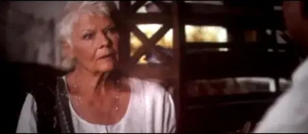 The Second Best Exotic Marigold Hotel (2015)