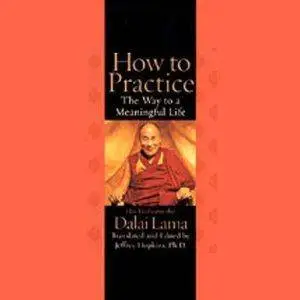 How To Practice: The Way To A Meaningful Life by Dalai Lama