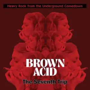 VA - Brown Acid: The Seventh Trip (Heavy Rock From The Underground Comedown) (2018)