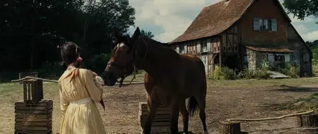 War Horse (2011)