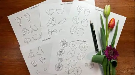 How to Draw Flowers: An Easy Step-by-Step Guide