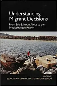 Understanding Migrant Decisions: From Sub-Saharan Africa to the Mediterranean Region