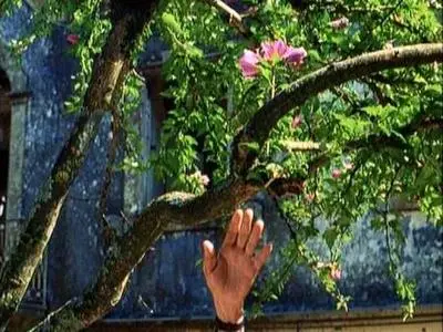 Manoel de Oliveira-Viagem ao Princípio do Mundo ('Voyage to the Beginning of the World') (1997)