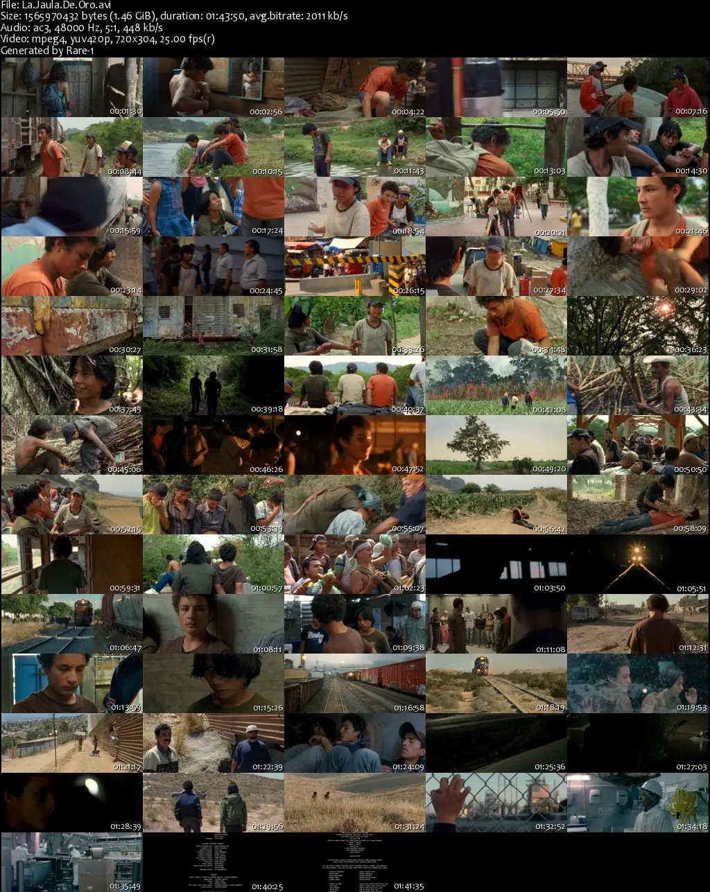 La jaula de oro (2013)