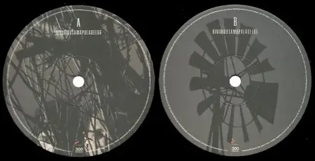 Divididos - Amapola del 66 (2010) 16 Bit/44.1kHz Vinyl Rip