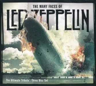VA - The Many Faces Of Led Zeppelin: The Ultimate Tribute (2007)