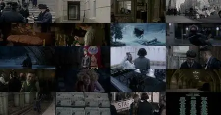 Fantastic Beasts and Where to Find Them (2016)