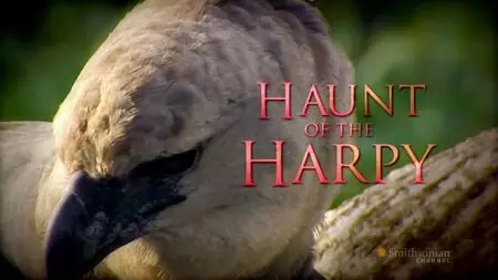 ZDF - Haunt of the Harpy (2010)