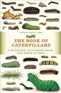 The Book of Caterpillars : A Life-size Guide to Six Hundred Species From Around the World