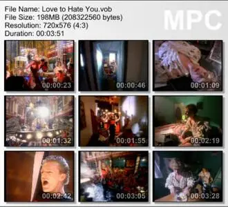 Video Erasure - Love to Hate You