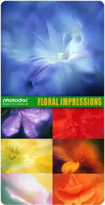 Floral Impressions