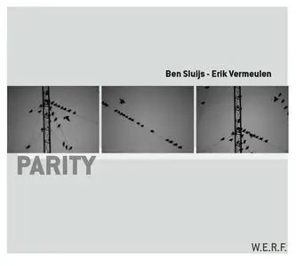 Ben Sluijs & Erik Vermeulen - Parity (2010)