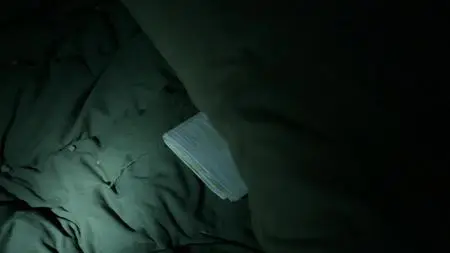 Manhunt Unabomber S02E09
