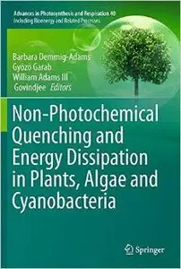 Non-Photochemical Quenching and Energy Dissipation in Plants, Algae and Cyanobacteria
