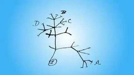 Coursera - Computational Molecular Evolution