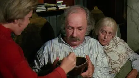 Willy Wonka & the Chocolate Factory (1971)