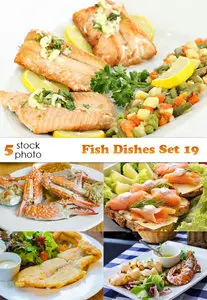 Photos - Fish Dishes Set 19