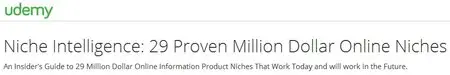 Niche Intelligence: 29 Proven Million Dollar Online Niches