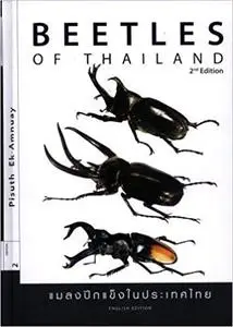 Beetles of Thailand Ed 2
