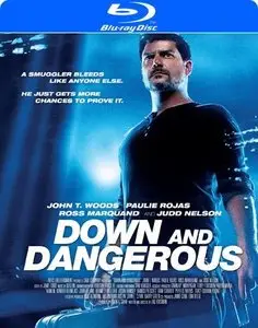 Down and Dangerous (2013)
