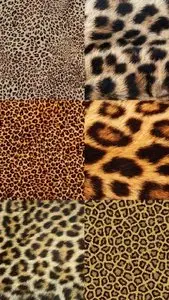 Leopard Skin Textures